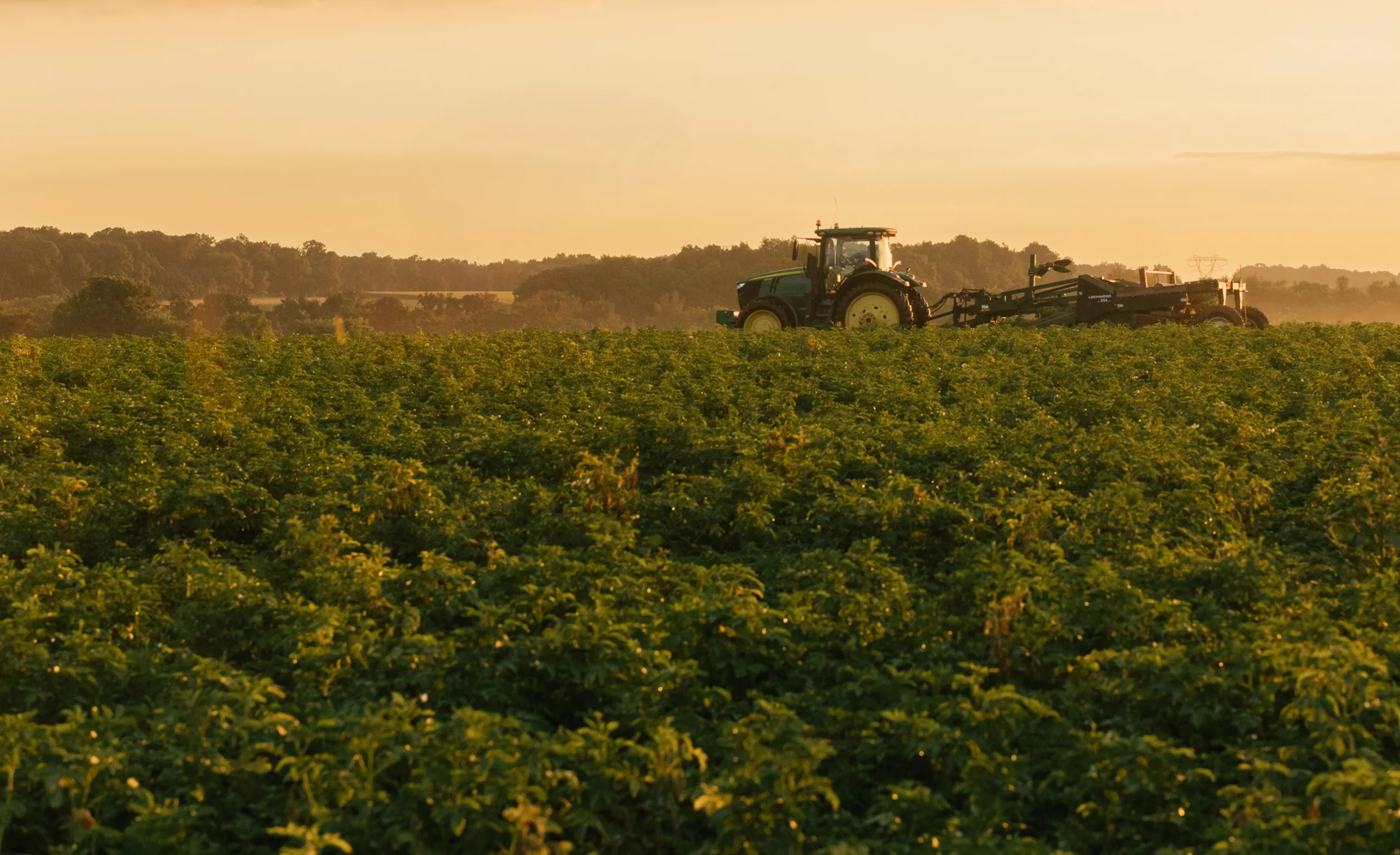 Tractor harvesting potatoes on a farm that partners with EK Bare